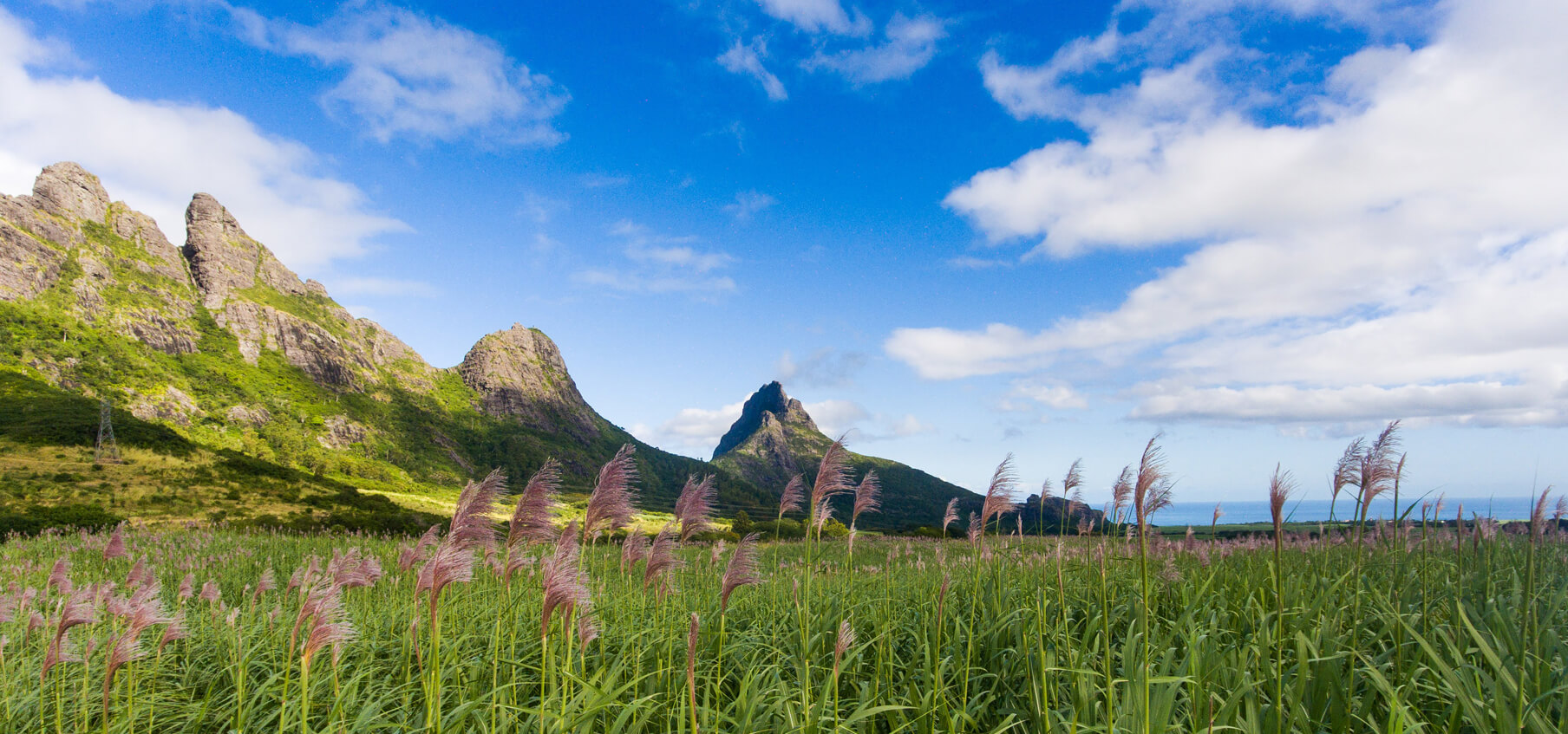 Harmonie: A Pioneering Sustainable Project in Mauritius