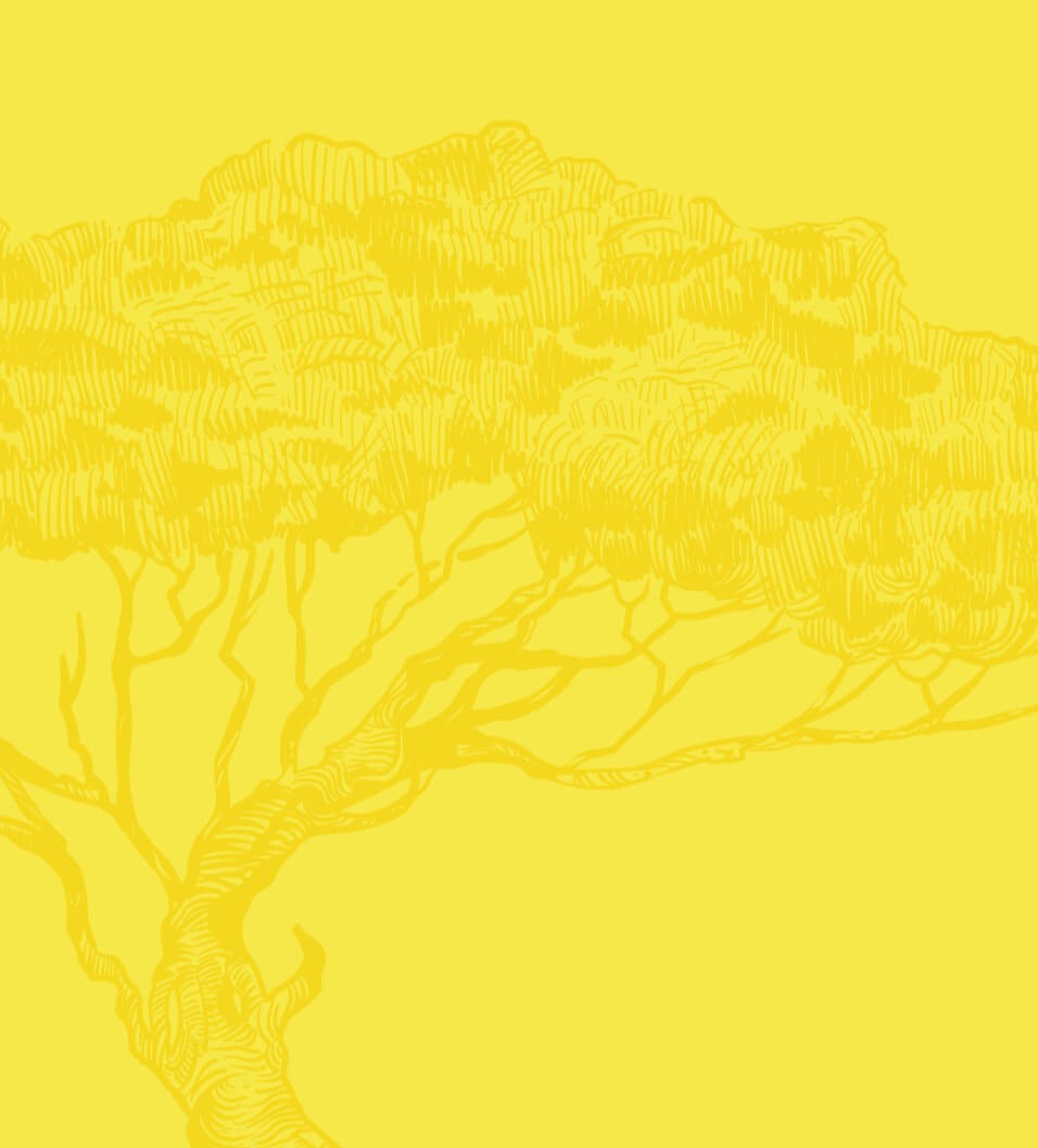The region