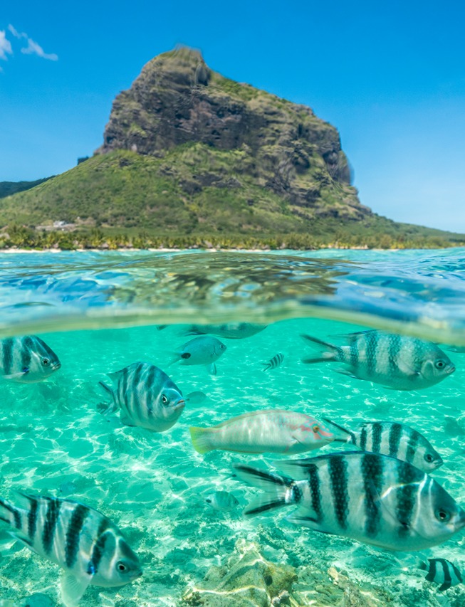 2 H2 Luxury Living On Mauritius Island With Harmonie Golf & Beach Estate (2)