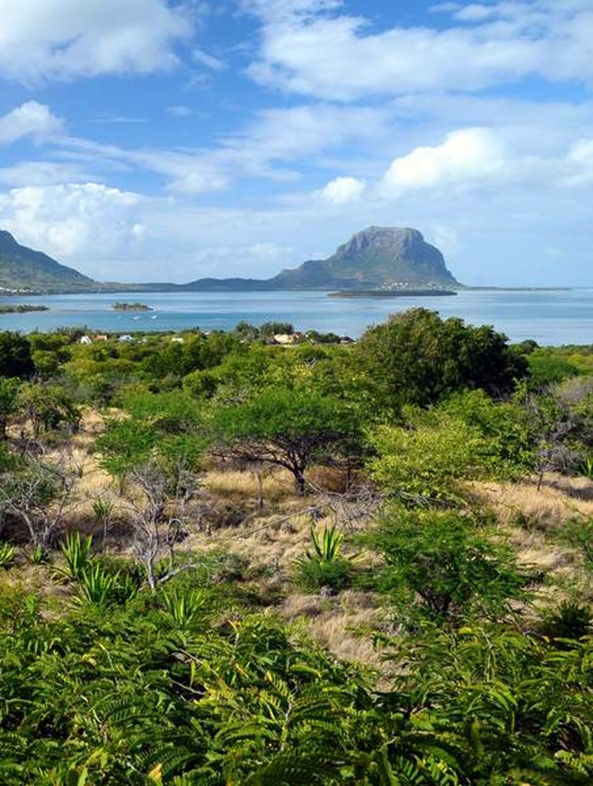 The region